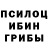 Галлюциногенные грибы Magic Shrooms Nuraly021