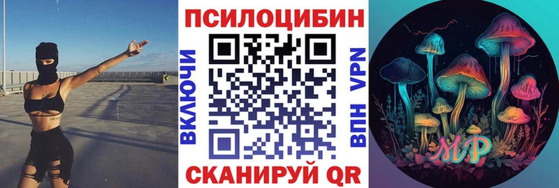 сколько стоит  Бор  Псилоцибиновые грибы Psilocybine cubensis 