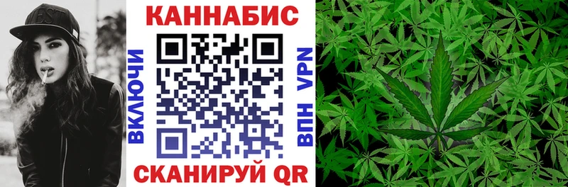 МАРИХУАНА сатива Бор